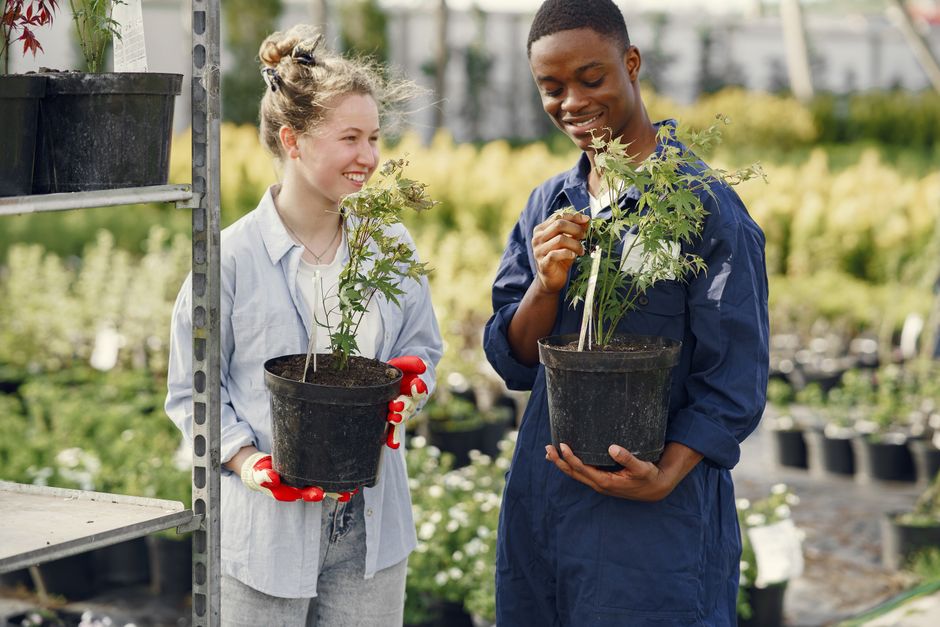 A Gardeniax csapata a raktárban
