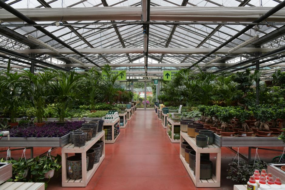 Gardeniax bemutatóterem, Budapest