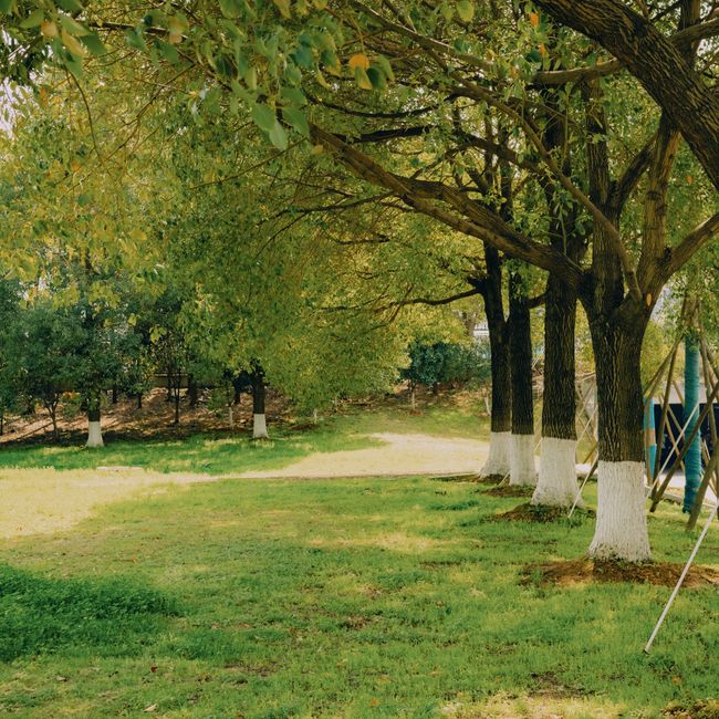 Függőágy, pamutvászon